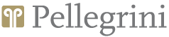 Logo Gruppo-Pellegrini